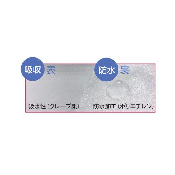 （ケース販売）フェルラックエプロン大判テープ付き 100枚入×5箱（使い捨て食事用エプロン）（竹虎）076369_4