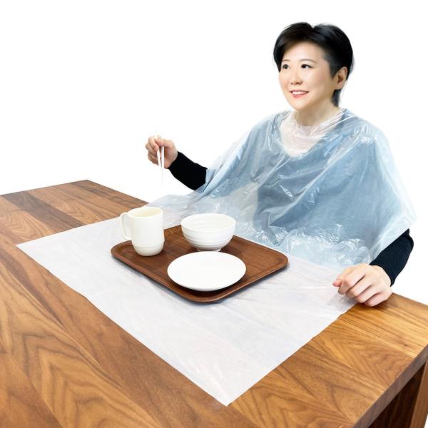 （ケース販売）食事用エプロン使い捨て 50枚入×20箱／ポリエチレン製（竹虎）102295