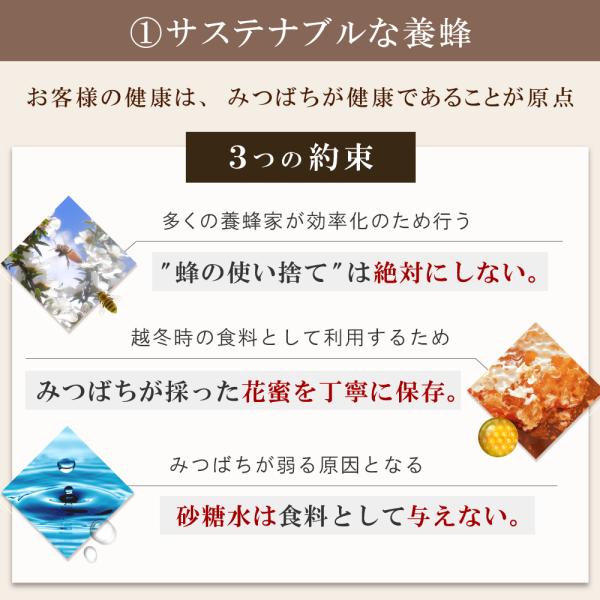 マヌカハニー スティック MGO550+ 3箱セット (5g×30包) はちみつ 個包装 マヌカ 非加熱 無添加 蜂蜜 キャンディ のど飴 ニュージーランド インカナムマヌカハニー TCNの通販は