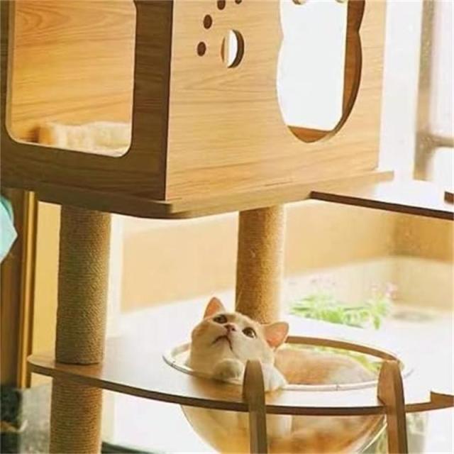 キャットタワー 透明宇宙船 頑丈 据え置き木製 麻紐 爪とぎボール 猫