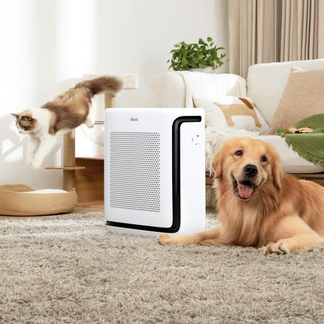 Levoit 空気清浄機 Vital200S ペット臭 ペットの抜け毛対策 花粉 33畳 H13 Hepaフィルター＆高効率活性炭フィルター  ペット用 コンパクト 交換不要プレフィルター ホコリ・光センサー  除菌 脱臭 自動 ペットモード スマホ対応 Levoit 空気清浄機 Vital200S ペット臭 ペットの抜け毛対策 花粉 33畳