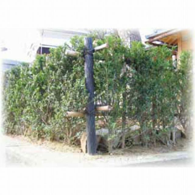 樹脂製杭 打込み杭 造園 木肌杭 プラ杭 国産 大研化成 擬木杭 φ60×1500mm 6本 G-6015 [メーカー直送]_4