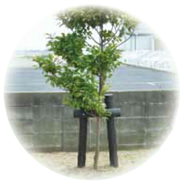 樹脂製杭 打込み杭 造園 木肌杭 プラ杭 国産 大研化成 擬木杭 φ60×1500mm 6本 G-6015 [メーカー直送]_6
