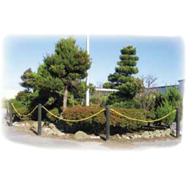 樹脂製杭 打込み杭 造園 木肌杭 プラ杭 国産 大研化成 擬木杭 φ60×1500mm 6本 G-6015 [メーカー直送]_7