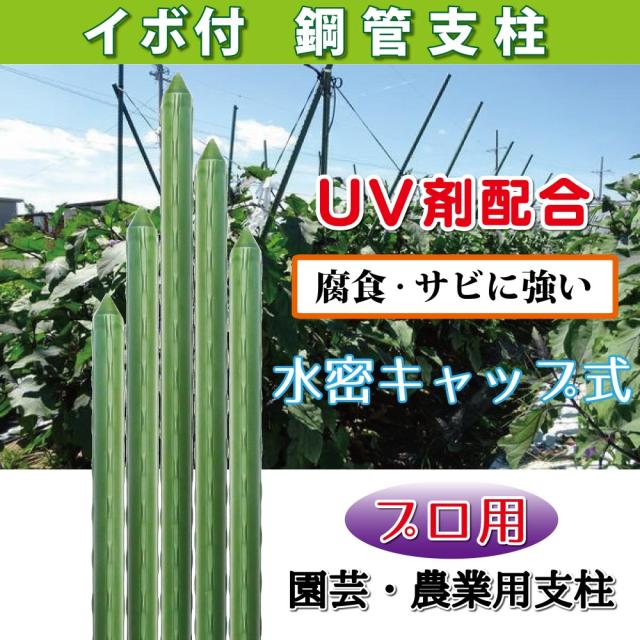 園芸 支柱 φ16-1200mm 100本(1) イボ付 鋼管製 農竹 鋼管支柱 いぼ支柱