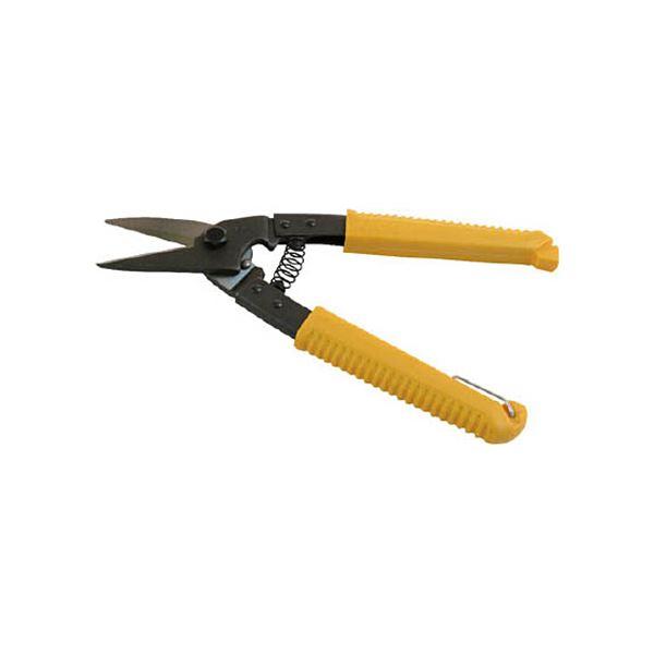 期間限定 三味線 舎利駒10枚（サイズ選択可） 期間限定 三味線 舎利駒10枚（サイズ選択可） 駒