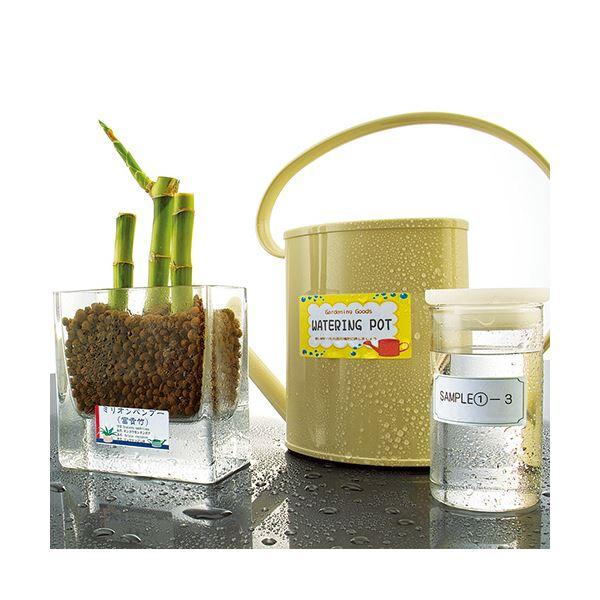 まとめ）コクヨカラーレーザー＆カラーコピー用耐水紙ラベル A4 24面 31×