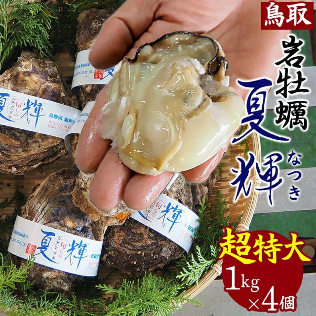 ＼超特大4個セット／【天然岩牡蠣 夏輝】予約 鳥取県産 海のミルク 生食用 活 1個が約1kg カキ 岩ガキ 岩がき なつき 天然 生牡蠣 殻付き いわがき ボンベ牡蠣 産地直送 人気 ブランド 刺身 焼き牡蠣 カキフライ 通販 ふるさと 鳥取 中村商店【送料無料】冷蔵 6月〜発送予定
