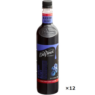 Davinci ダヴィンチ フレーバーシロップ クラシックシリーズ ブルーベリー 750ml 12本 ケース販売