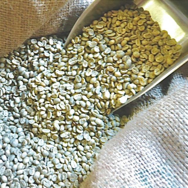 コーヒー生豆】グアテマラ SHB 5kg ※送料無料！ コーヒー生豆