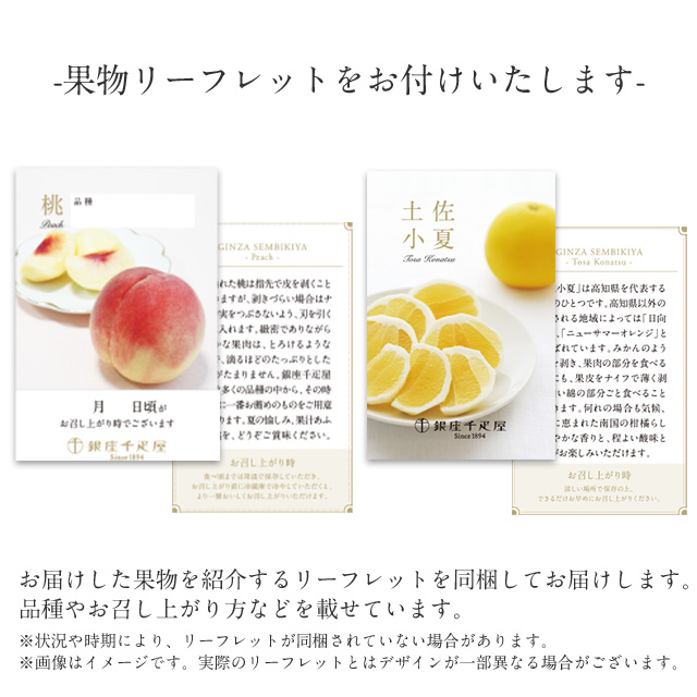 母の日 2026 フルーツ 詰め合わせ プレゼント お取り寄せ 贈り物 ギフト Gift 千疋屋 銀座千疋屋 感謝の気持ち(30,)_5