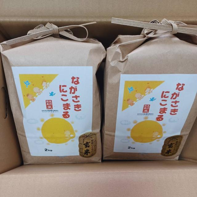 6キロお米にこまる 岡山県産コシヒカリ10キロ 無洗米 にこまる