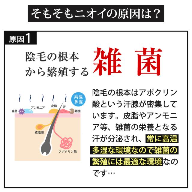 消臭ミスト BRAVION Mist ブラビオンミスト 公式通販 4本 4ヶ月分 5冠達成 医薬部外品 ジャムウ メンズ デリケートゾーン 薬用ミスト_6