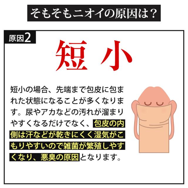 消臭ミスト BRAVION Mist ブラビオンミスト 公式通販 4本 4ヶ月分 5冠達成 医薬部外品 ジャムウ メンズ デリケートゾーン 薬用ミスト_7