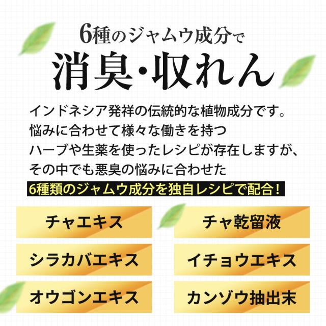 消臭ミスト BRAVION Mist ブラビオンミスト 公式通販 4本 4ヶ月分 5冠達成 医薬部外品 ジャムウ メンズ デリケートゾーン 薬用ミスト_11