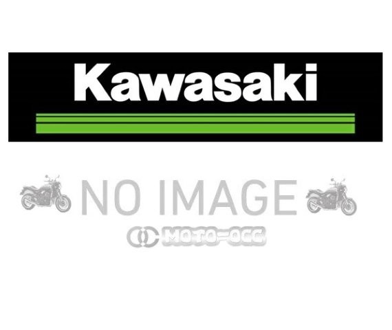 Kawasaki カワサキ 純正オプション W800/W800 STREET/W800 CAFE