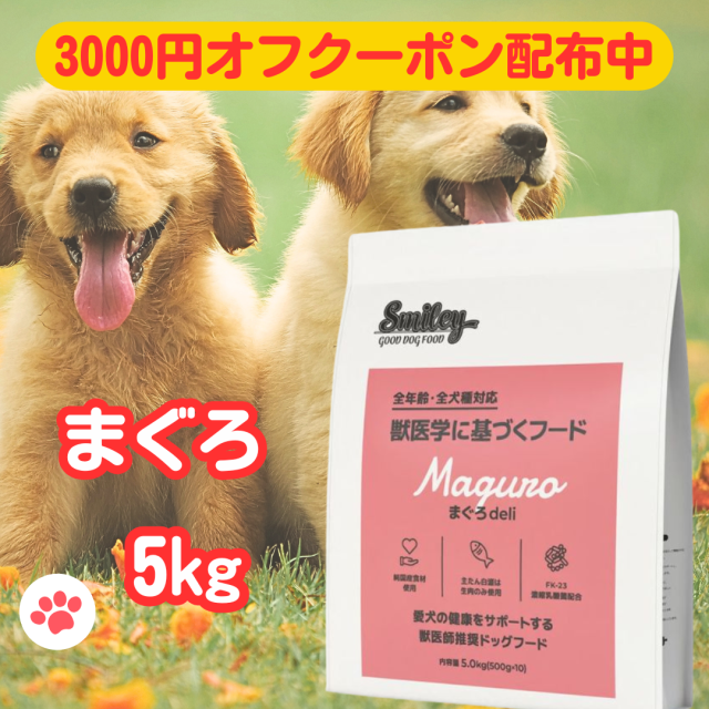 （まとめ）スーパーゴールド フィッシュ＆ポテト ダイエットライト 800g〔×12セット〕〔ペット用品・ペット用フード〕〔代引不可〕〔代引不可〕 スーパーゴールド フィッシュ＆ポテト ダイエットライト 体重管理用
