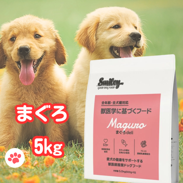 スマイリー 国産 まぐろ 賞味期限2027年8月 まぐろデリ 5kgドッグフード 純国産 無添加 Smiley 犬 デリ 日本製 ペットフード 犬 犬用 シニア 成犬 お得