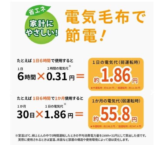在庫有り 当日発送 広電 KODEN コウデン 電気毛布 かけしき ダブル フランネル 188×180cm フランネル ブラウン VWB102R-BW_5