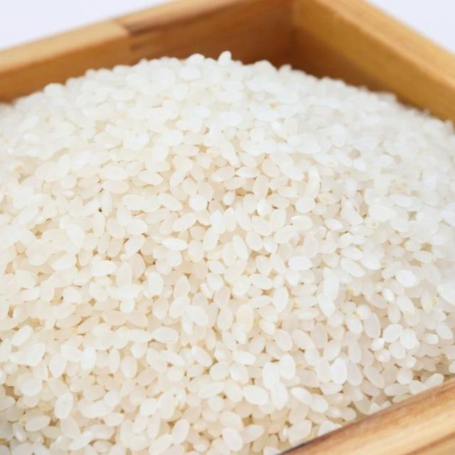 送料込み 神奈川県 令和7年産　新米　五ツ星お米マイスター　お仕立て米　神奈川　地元のお米　はるみ　10kg（戸塚正商店）_1