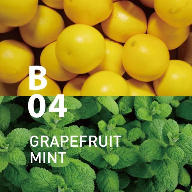 アットアロマ メーカー直送 エッセンシャルオイル ボタニカルエア B04