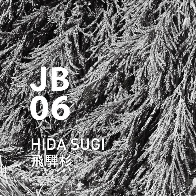 ★ メーカー直送 ★ アットアロマ エッセンシャルオイル ジャパニーズエア JB06飛騨杉 250ml 全国一律送料無料_1
