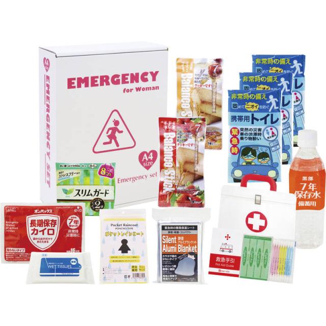 ハンドメイドパッチワークサンプラーかぼちゃ紐付きトートバッグ ハンドメイドパッチワークサンプラーかぼちゃ紐付きトートバッグ