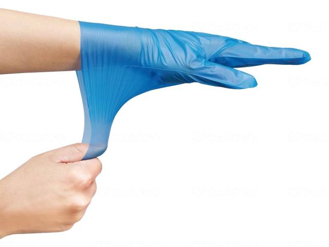 冬の皇帝 野呂邦暢 限定60 色紙つき 鶴声居 原稿 草稿 署名 サイン 冬