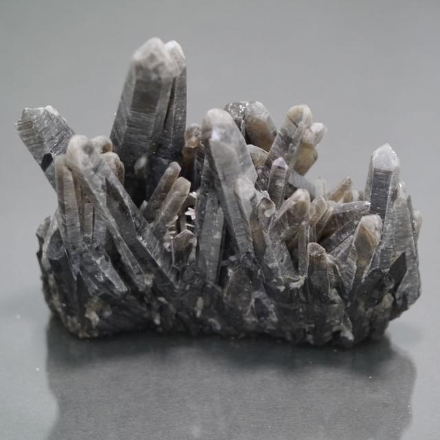 モリオンクラスター ✳極上品質☆存在感抜群‼️漆黒パワー✨山東省産