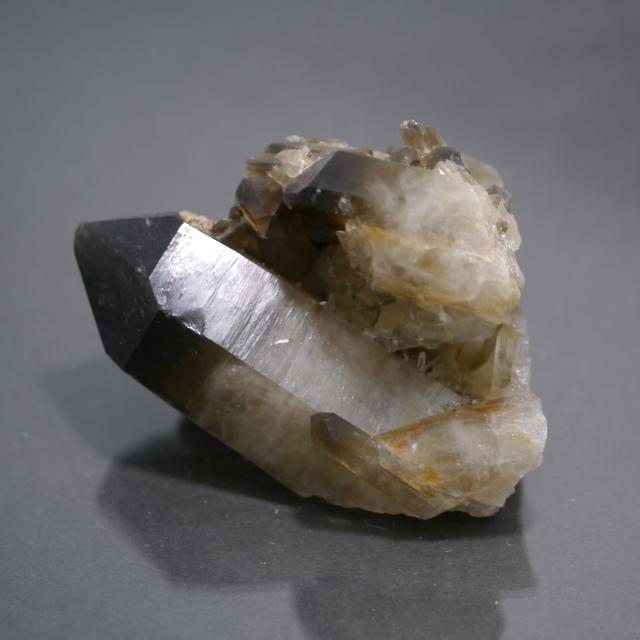 tulle knit cardigan / nuyuh