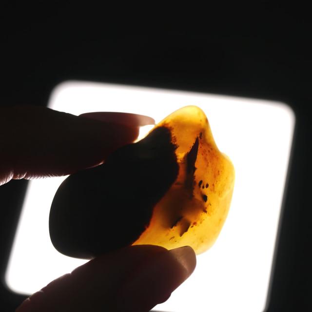 バーマイト ミャンマー産琥珀 アンバー 原石磨き 1点物 約8.8グラム 約4×2.5センチ 天然石・置物・原石_2