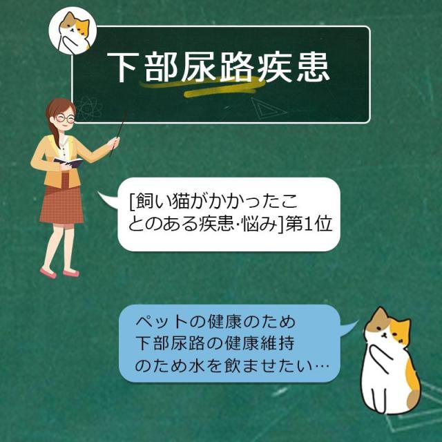 センサー給水器 水飲み器 ペット 自動給水器 コードレス 猫 犬 ステンレス製 超静音 フィルタープレゼント 2L大容量 多頭飼いも対応 洗いやすい ペット 給水機_1