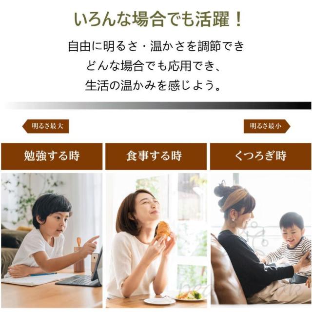 シーリングファンライト led おしゃれ シーリングライト 北欧 逆回転機能 DCモーター Bluetooth対応 調光調色 音楽再生 6-12畳 6段階風量調節 リモコン APP対応