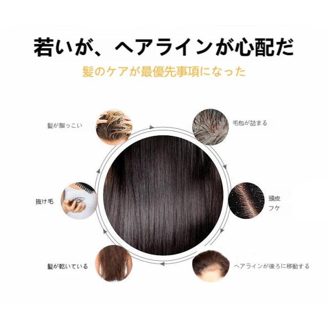 電気ブラシ EMS ブラシ 頭皮ブラシ 頭皮ケア 美肌 スキンケア マッサージ 乾湿両用 ヘアケア 高周波振動 プレゼント