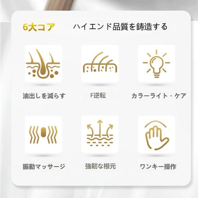 電気ブラシ EMS ブラシ 頭皮ブラシ 頭皮ケア 美肌 スキンケア マッサージ 乾湿両用 ヘアケア 高周波振動 プレゼント