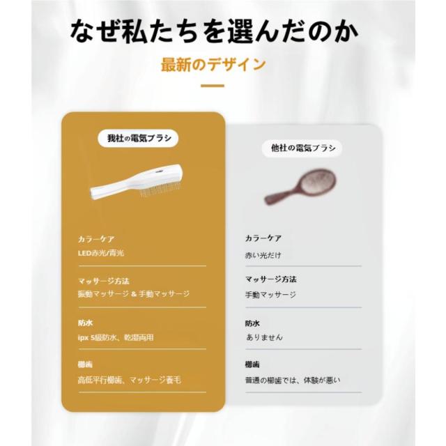 電気ブラシ EMS ブラシ 頭皮ブラシ 頭皮ケア 美肌 スキンケア マッサージ 乾湿両用 ヘアケア 高周波振動 プレゼント