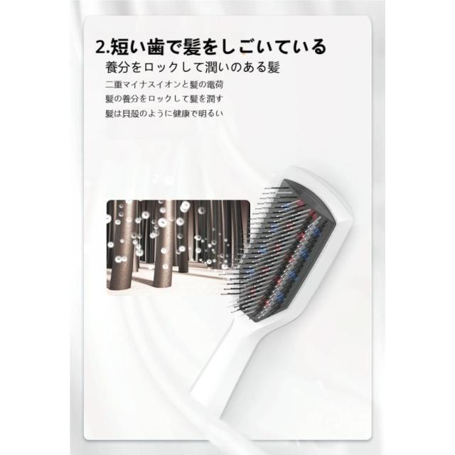 電気ブラシ EMS ブラシ 頭皮ブラシ 頭皮ケア 美肌 スキンケア マッサージ 乾湿両用 ヘアケア 高周波振動 プレゼント