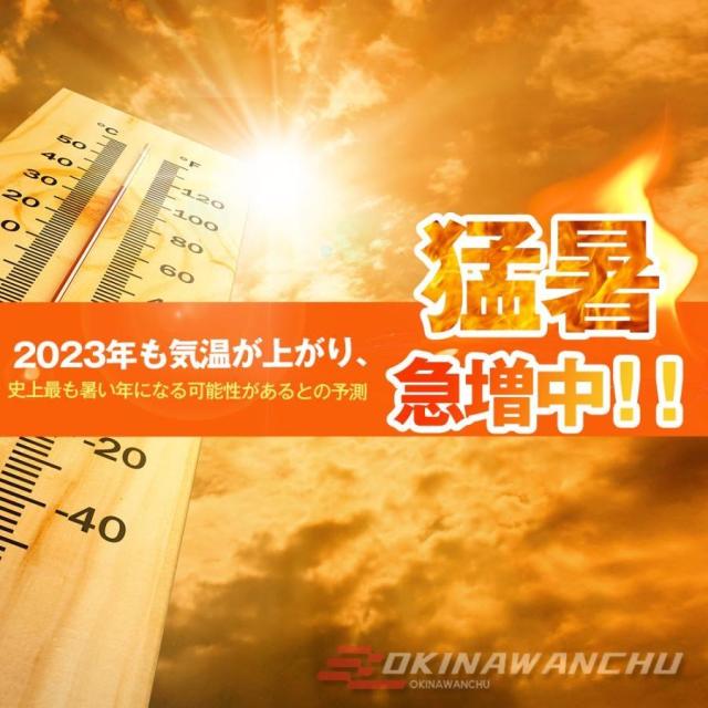 首掛け扇風機 扇風機 ネッククーラー 2つ冷却プレート ペルチェ素子 