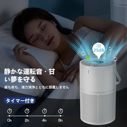 空気清浄機 小型 13畳 花粉 静音 集じん ホコリ ペット タバコ 除菌
