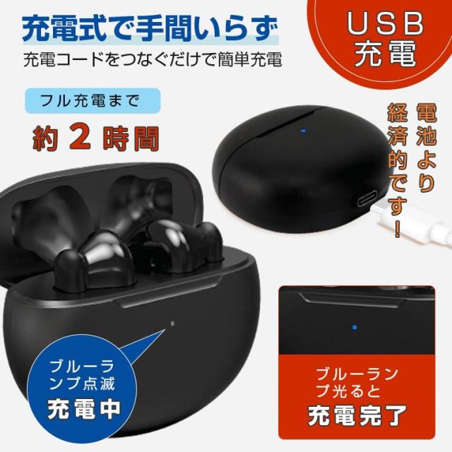 集音器 イヤホン型 充電式 高齢者 使いやすい 5段音量調節 両 集音器 イヤホン型 充電式 高齢者 使いやすい 5段音量調節 両