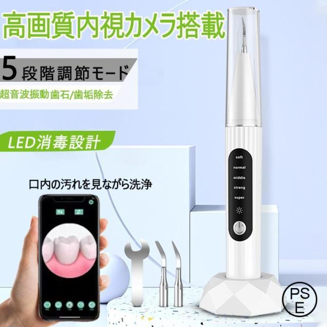 歯石取り 超音波口腔洗浄器 内視カメラ搭載 超音波スケーラー 超音波歯クリーナ
