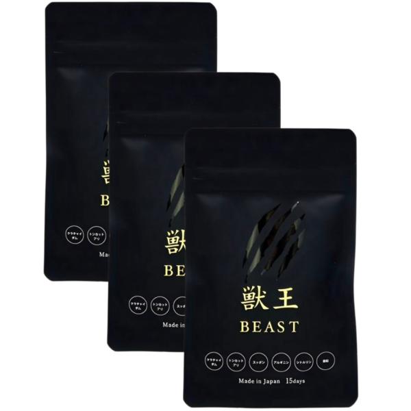 獸王BEAST 獣王 BEAST 15日分 日本製 サプリメント 4つまとめ売り 獣
