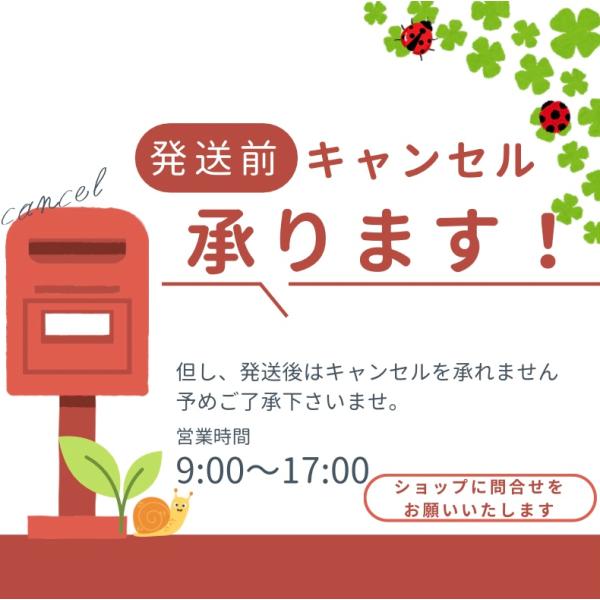 【2本】クリアネオ CLEANEO デオドラント クリーム 30g 医薬部外品 ワキガ　わきが　制汗　皮膚汗臭の通販は