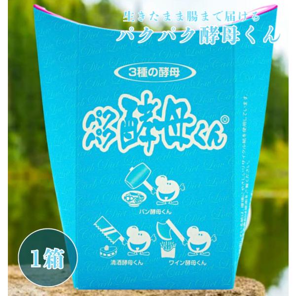パクパク酵母くん 31袋入り 糖質 3種の酵母 酵母 サプリ  健康 ぱくぱく酵母くんの通販は