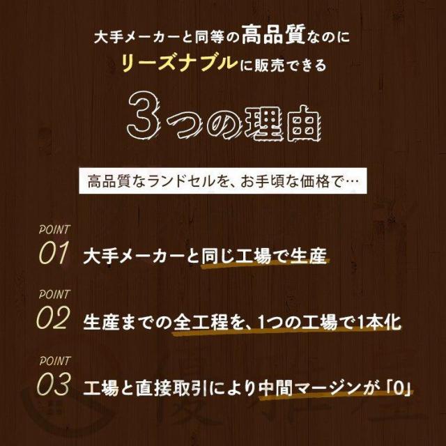 ランドセル 男 男の子 女の子 ご入学モデル ジュエルスタイル A4フラットファイル対応 軽い ワンタッチ 自動ロック おすすめ 黒 ネイビー 紺 人気 小学 中学_5