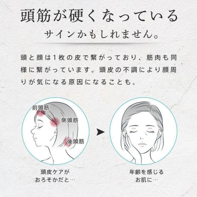 電気ブラシ 美顔器 EMS 美容家電 電気針ヘッドスパ 電気バリブラシ 目元 フェイスケア 美肌 頭皮ケア マッサージ 振動 磁石式 ラジオ波 エステ_1