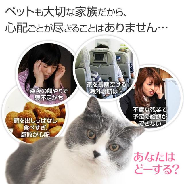自動給餌器 猫 犬 うさぎ 自動餌やり機 ペット給餌機 ロック蓋が閉まる 洗える フード ディスペンサー スマホ連動 オート 取り外し可能 旅行 新生活 一人暮らし タイマー 定時定量 清潔便利 大容量 多頭飼い エサ 密閉_1