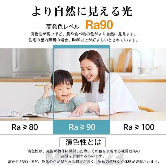 【2025新製品】シーリングファン サーキュレーター シーリングライト DC シーリングファン 軽量 薄型 ファン付き LED 扇風機 小型 調光調色 北欧 リモコン 脱衣所 寝室 居間 部屋 省エネ リビング プレゼント シーリングファンライト