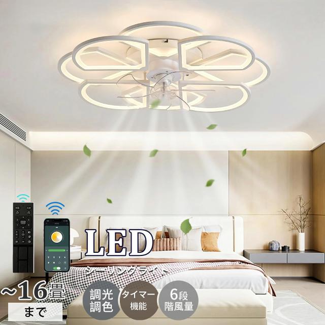 PC straight-R (930-353-000) 花瓶 フラワーベース PC straight-R ピーシーストレートアール clear 1