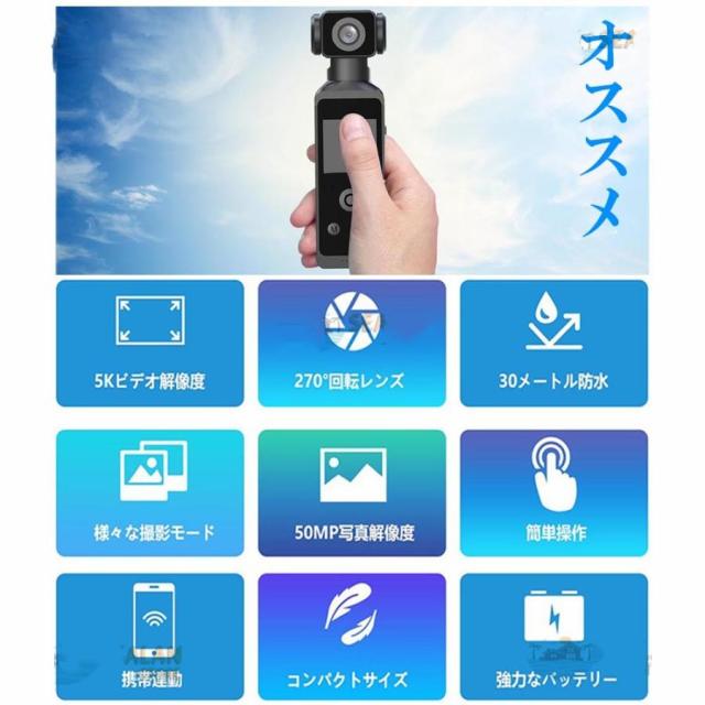 iPod Classic 第5.5世代 80GB 液晶微欠陥 電池元気